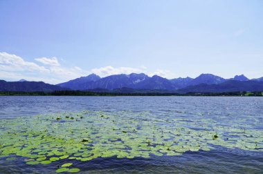 Hopfensee ve Fussen yakınlarındaki dağların manzarası. Bavyera 'da manzara.