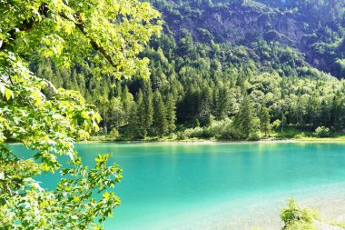 Tyrol, Avusturya 'daki Plansee' de manzara. Turkuaz renkli göl çevresi ve dağlarla çevrili..