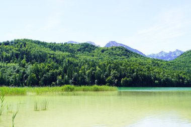 Weissensee, Fuessen, Bavyera yakınlarında. Çevresindeki manzaralı göl manzarası.