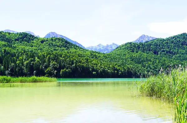 Weissensee, Fuessen, Bavyera yakınlarında. Çevresindeki manzaralı göl manzarası.