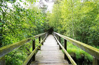 Aşağı Saksonya 'da yersiz bir çayırda. Bozkır arazisinde ahşap köprüsü olan doğa rezervi.