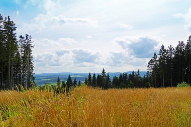 Winterberg yakınlarındaki Sauerland 'da Neuer Hagen peyzaj koruma alanı. Yeşil tepeli ve çiçek açan fundalıklı doğa.