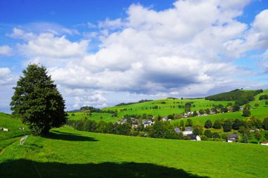 Oberhenneborn yakınlarındaki Sauerland 'de manzara. Tepeleri ve ormanları olan yeşil doğanın panoramik manzarası.