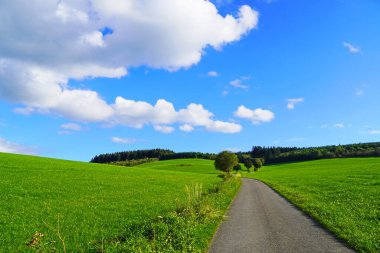 Oberhenneborn yakınlarındaki Sauerland 'de manzara. Tepeleri ve ormanları olan yeşil doğanın panoramik manzarası.