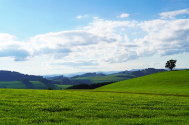 Oberhenneborn yakınlarındaki Sauerland 'de manzara. Tepeleri ve ormanları olan yeşil doğanın panoramik manzarası.