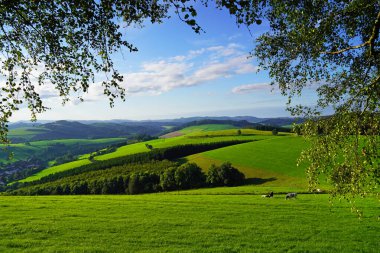 Oberhenneborn yakınlarındaki Sauerland 'de manzara. Tepeleri ve ormanları olan yeşil doğanın panoramik manzarası.