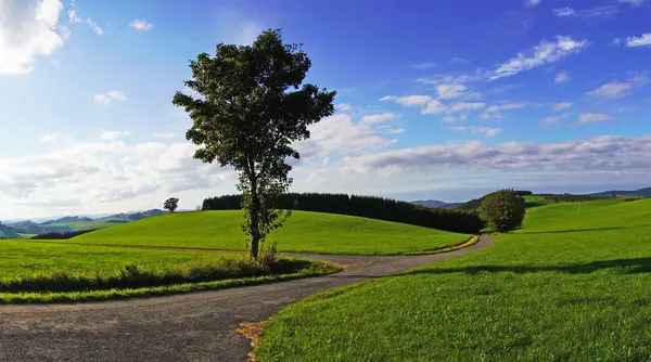 Oberhenneborn yakınlarındaki Sauerland 'de manzara. Tepeleri ve ormanları olan yeşil doğanın panoramik manzarası.