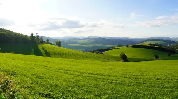 Oberhenneborn yakınlarındaki Sauerland 'de manzara. Tepeleri ve ormanları olan yeşil doğanın panoramik manzarası.