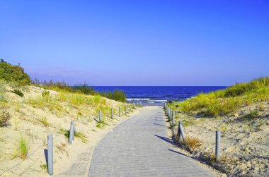 Heringsdorf yakınlarında bir plaj. Güneşli havada Baltık Denizi kıyıları.