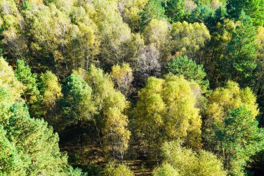 Mueritz Ulusal Parkı 'nın havadan görünüşü.