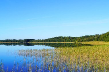 Priesterbaeker Mueritz Ulusal Parkı 'nda. Mecklenburg Gölü Platosu. Mecklenburg Lakeland.