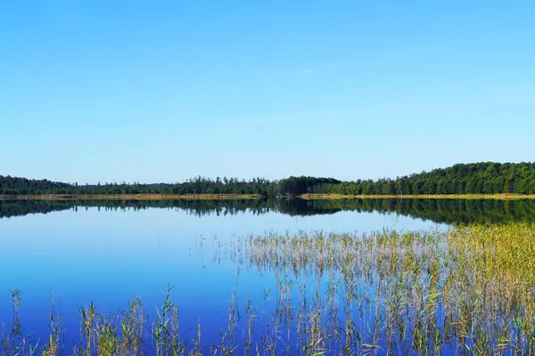 Priesterbaeker Mueritz Ulusal Parkı 'nda. Mecklenburg Gölü Platosu. Mecklenburg Lakeland.