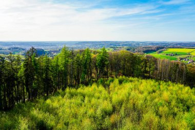 Balve yakınlarındaki Ebberg 'de manzara. Ormanlar ve çayırlar ile yeşil doğa.