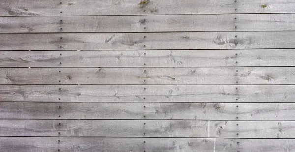 Rustic gray wood background. Wooden panels.