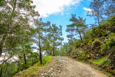 Kemer yakınlarındaki Calis Tepe 'de doğa. Türkiye 'de yeşil manzara.