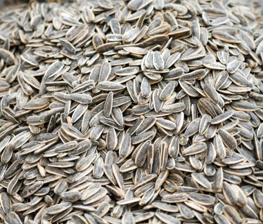 Kapalı kabuklu siyah beyaz ayçiçeği çekirdekleri.