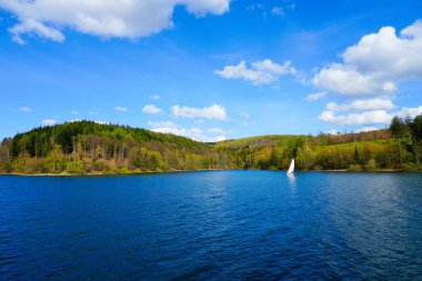 Sorpesee 'nin ve Sundern yakınlarındaki doğanın manzarası. Sauerland 'da yeşil ormanları olan bir yer..