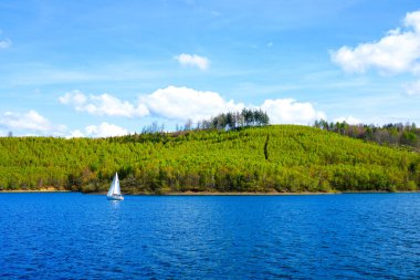 Sorpesee 'nin ve Sundern yakınlarındaki doğanın manzarası. Sauerland 'da yeşil ormanları olan bir yer..