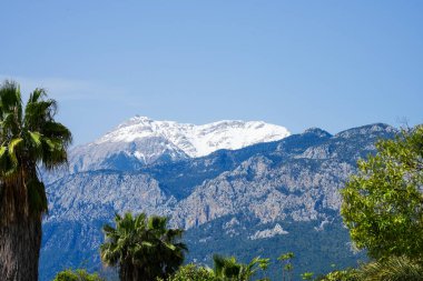 Arka planda Taurus Dağları olan doğa. Türkiye 'de manzara.