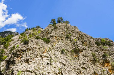 Arka planda Taurus Dağları olan doğa. Türkiye 'de manzara.