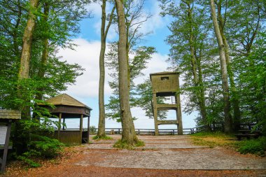 Polonya 'daki Gosan bakış açısı. Baltık Denizi manzaralı yeşil doğa.