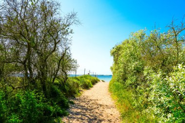 Doğa yolu Fauler manzaralı Poel adasında.