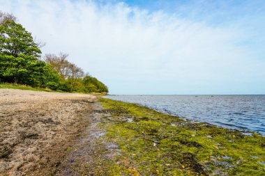 Gollwitz plajı yakınlarındaki Poel adasındaki Baltık Denizi manzarası.