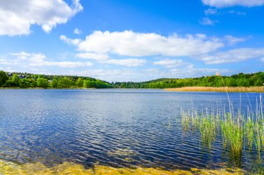 Wiselka Gölü manzarası, Neuendorfer See. Wolin Adası 'nın manzarası. Batı Pomeranya 'da Doğa.
