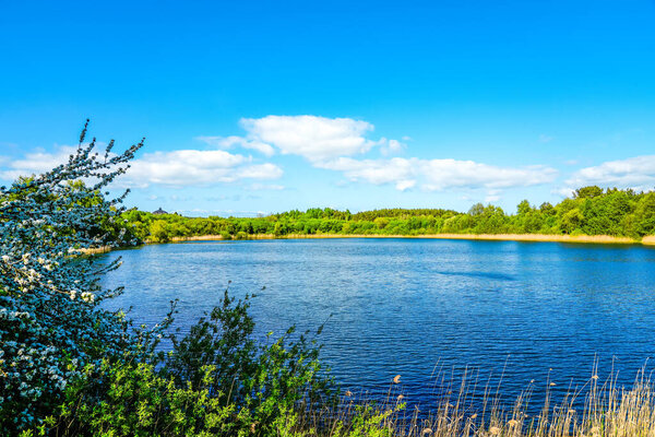 Recze Lake on the island of Wolin in Western Pomerania with the surrounding nature. Landscape by the lake in Poland.
