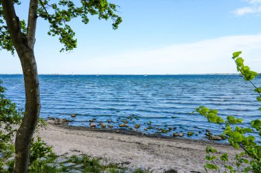 Wismar yakınlarındaki Wendorf Plajı 'nda manzara. Baltık Denizi Manzarası.