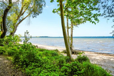 Wismar yakınlarındaki Wendorf Plajı 'nda manzara. Baltık Denizi Manzarası.