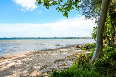 Wismar yakınlarındaki Wendorf Plajı 'nda manzara. Baltık Denizi Manzarası.