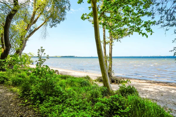 Wismar yakınlarındaki Wendorf Plajı 'nda manzara. Baltık Denizi Manzarası.