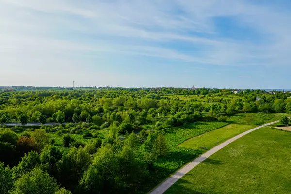 Wismar 'daki Buergerpark manzarası. Gözlem kulesinden görüntüle.