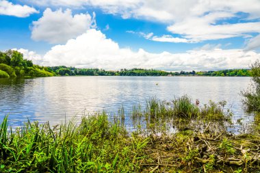 Kuzey Ren-Vestfalya 'daki Marienheide yakınlarındaki Brucher Barajı' nda. Çevresindeki manzaralı göl manzarası.