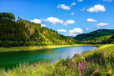 Yazın Glingebachtalsperre manzarası. Olpe bölgesindeki Plettenberg yakınlarındaki Glinge Barajı 'nda manzara. Sauerland 'deki rezervuar..