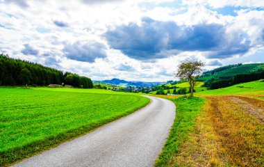 Finnentrop yakınlarındaki manzara. Sauerland 'de tarlaları ve ormanları olan doğa..