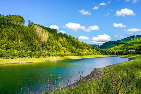 Yazın Glingebachtalsperre manzarası. Olpe bölgesindeki Plettenberg yakınlarındaki Glinge Barajı 'nda manzara. Sauerland 'deki rezervuar..