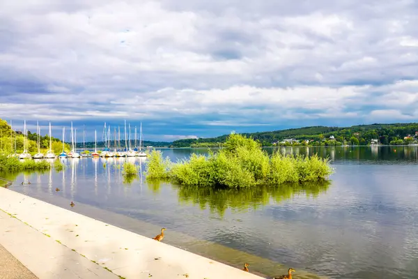 Moehnesee manzarası ve çevre manzarası. Koerbecke yakınlarındaki doğa..