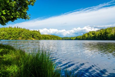 Neyetalsperre ve çevresindeki doğa manzarası. Obergischer Kreis 'deki Wipparferth yakınlarındaki manzara..