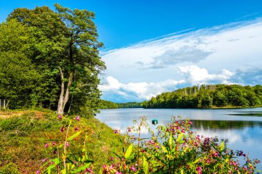 Neyetalsperre ve çevresindeki doğa manzarası. Obergischer Kreis 'deki Wipparferth yakınlarındaki manzara..