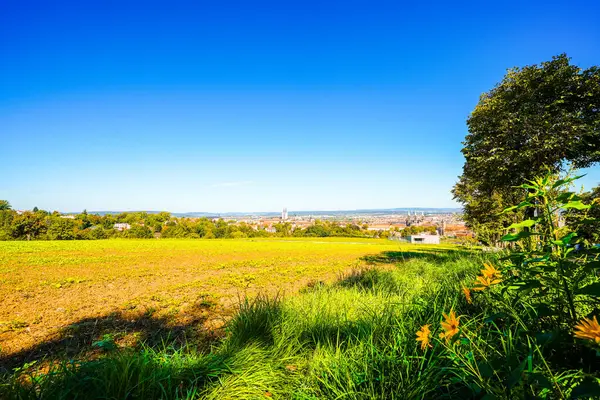 Bavyera 'daki Bamberg şehrinin manzarası.