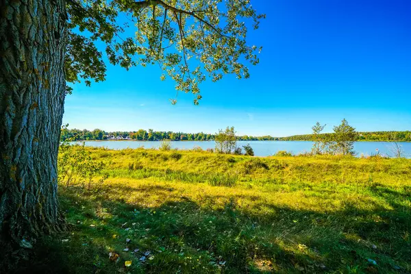 Erlangen yakınlarındaki Dechsendorfer Weiher 'ın görüntüsü. Çevresindeki doğayla birlikte göl manzarası.
