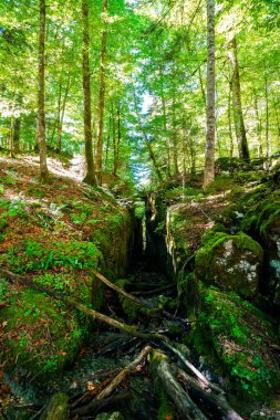 Styria 'daki Kammersee Gölü' nde bir vadiyle Rocky Doğa. Avusturya 'da manzara.