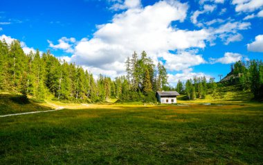 Krallersee, Tauplitzalm 'ın yüksek platosunda. Styria 'daki Toten Gebirge gölü manzarası. Yeşil doğalı ve Tauplitz 'de gölü olan Idyllic manzarası.
