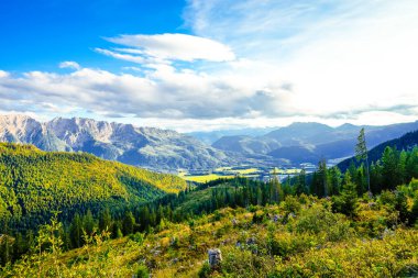 Avusturya 'daki Tauplitzalm' da dağları ve ormanları olan cennet manzarası. Salzkammergut, Styria 'daki Tauplitz' de Doğa.