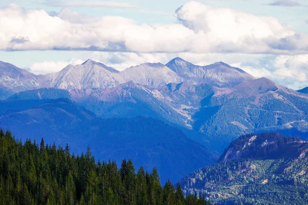 Avusturya 'daki Tauplitzalm' da dağları ve ormanları olan cennet manzarası. Salzkammergut, Styria 'daki Tauplitz' de Doğa.