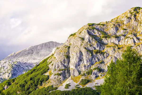 Avusturya 'daki Tauplitzalm' da dağları ve ormanları olan cennet manzarası. Salzkammergut, Styria 'daki Tauplitz' de Doğa.