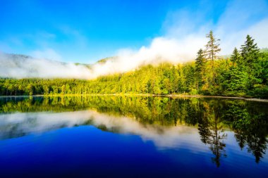 Styria 'daki Bad Mitterndorf' ta Oedensee 'deki manzara. Doğa, Avusturya 'daki Salzkammergut' ta berrak yüzme gölünde..