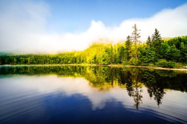 Styria 'daki Bad Mitterndorf' ta Oedensee 'deki manzara. Doğa, Avusturya 'daki Salzkammergut' ta berrak yüzme gölünde..